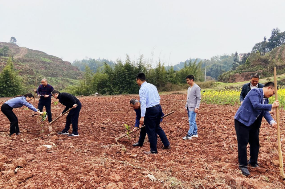 植桃树添新绿 助力乡村振兴 