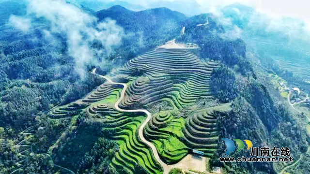 古蔺县皇华镇“一赛一节”｜马洱山世外茶源